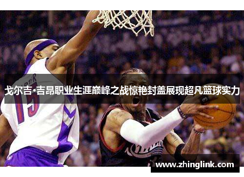 戈尔吉·吉昂职业生涯巅峰之战惊艳封盖展现超凡篮球实力