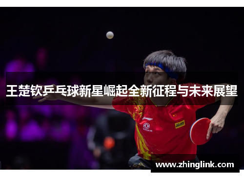 王楚钦乒乓球新星崛起全新征程与未来展望