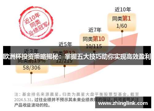 欧洲杯投资策略揭秘：掌握五大技巧助你实现高效盈利