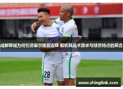 成都蓉城为何引进塞尔维亚边锋 解析其战术需求与球员特点的契合